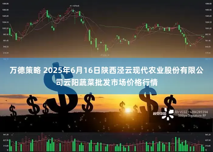 万德策略 2025年6月16日陕西泾云现代农业股份有限公司云阳蔬菜批发市场价格行情