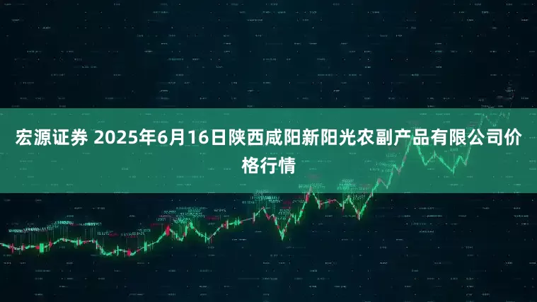 宏源证券 2025年6月16日陕西咸阳新阳光农副产品有限公司价格行情